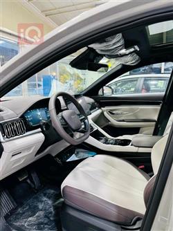 بي واي دي سونغ بلس